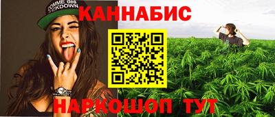 гашик Нальчик