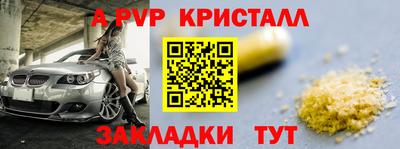 гашик Нальчик