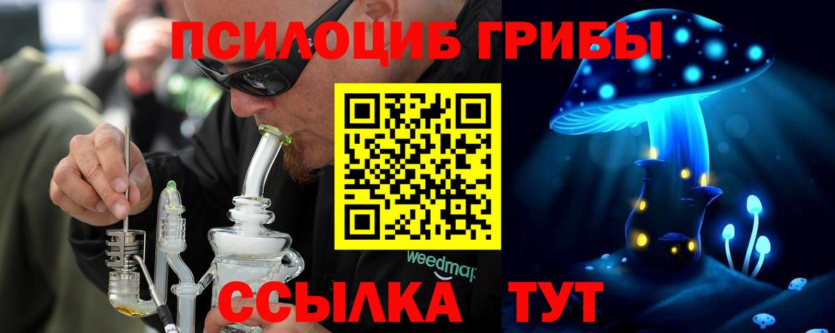 Псилоцибиновые грибы Magic Shrooms  Псилоцибиновые грибы Magic Shrooms  Вход с VPN  Тавда 
